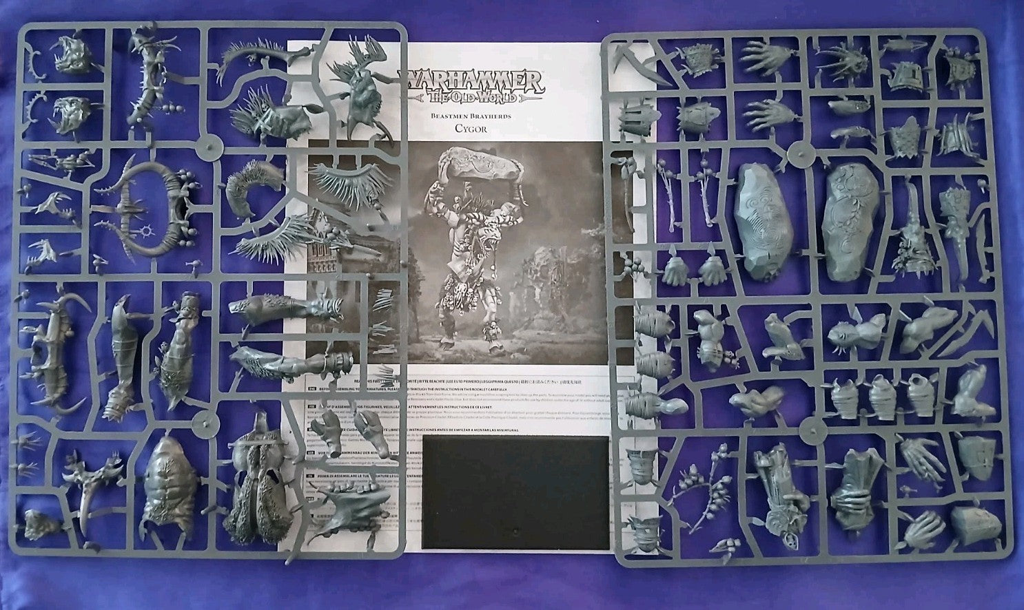 Cygor /  Ghorgon NEW Beastmen Warhammer The Old World, NEW on sprue