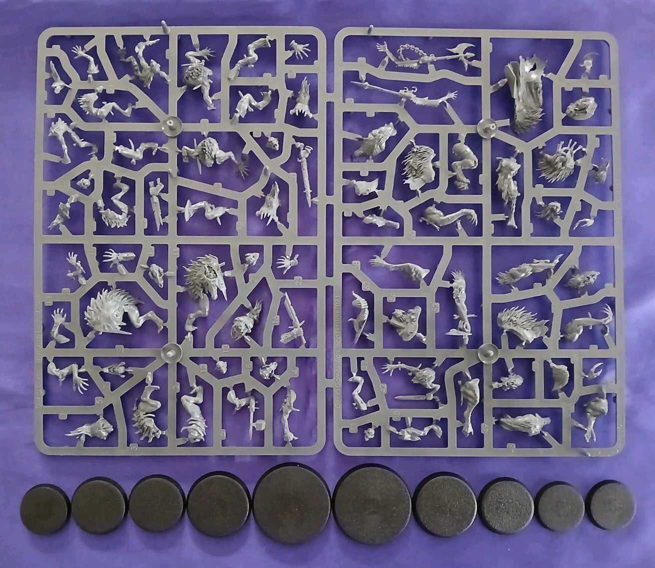 Royal Beastflayers, Warhammer Age Of Sigmar, NEW