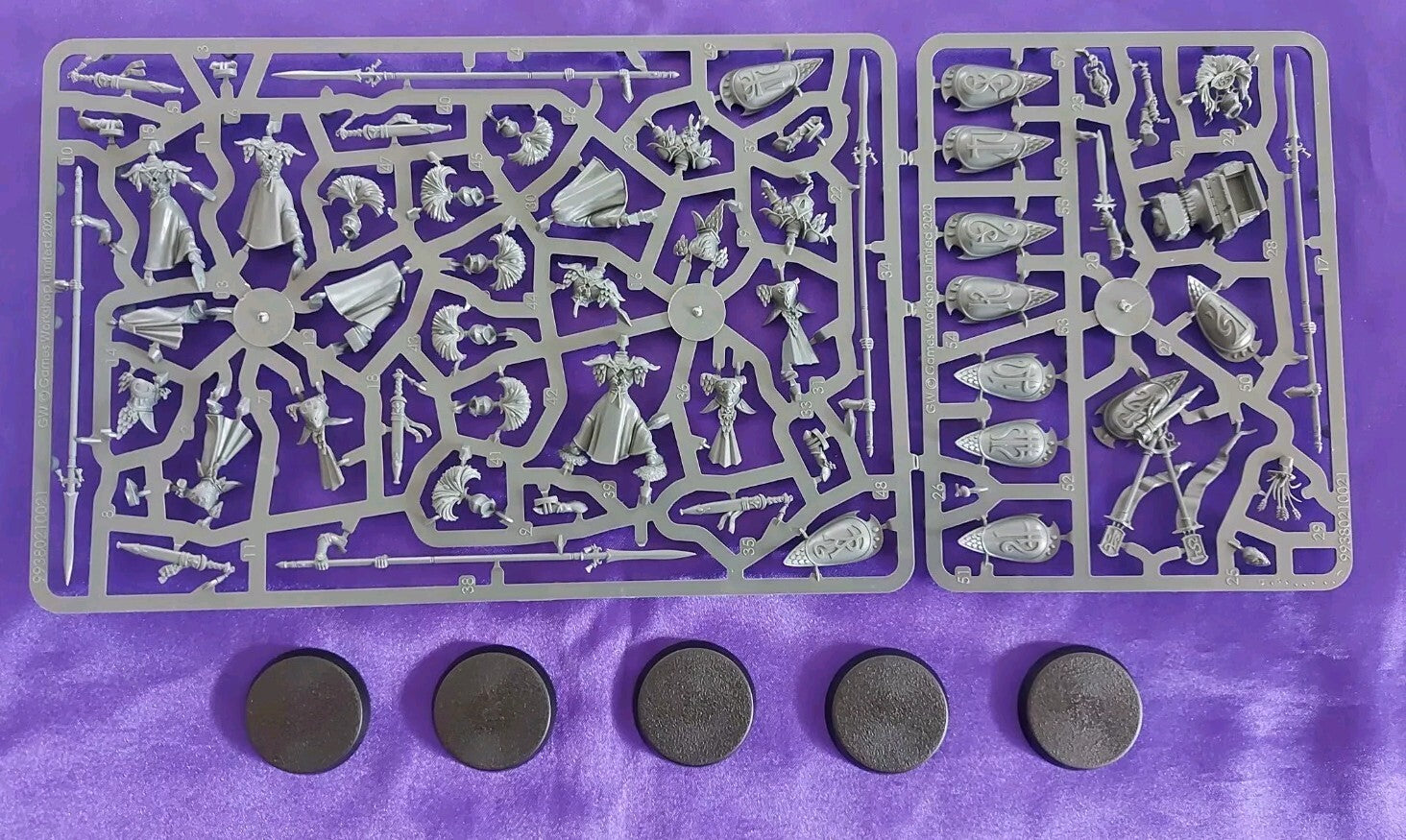 5 Auralan Wardens, Warhammer Age Of Sigmar, NEW