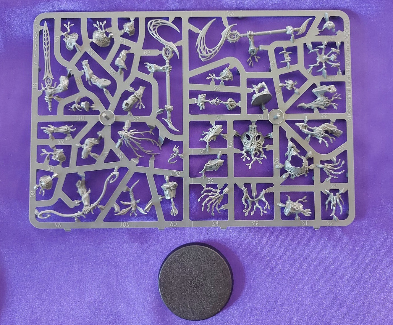 Warhammer Age of Sigmar - SINGLE Kurnoth Hunter Sylvaneth MULTI-LISTING, NEW