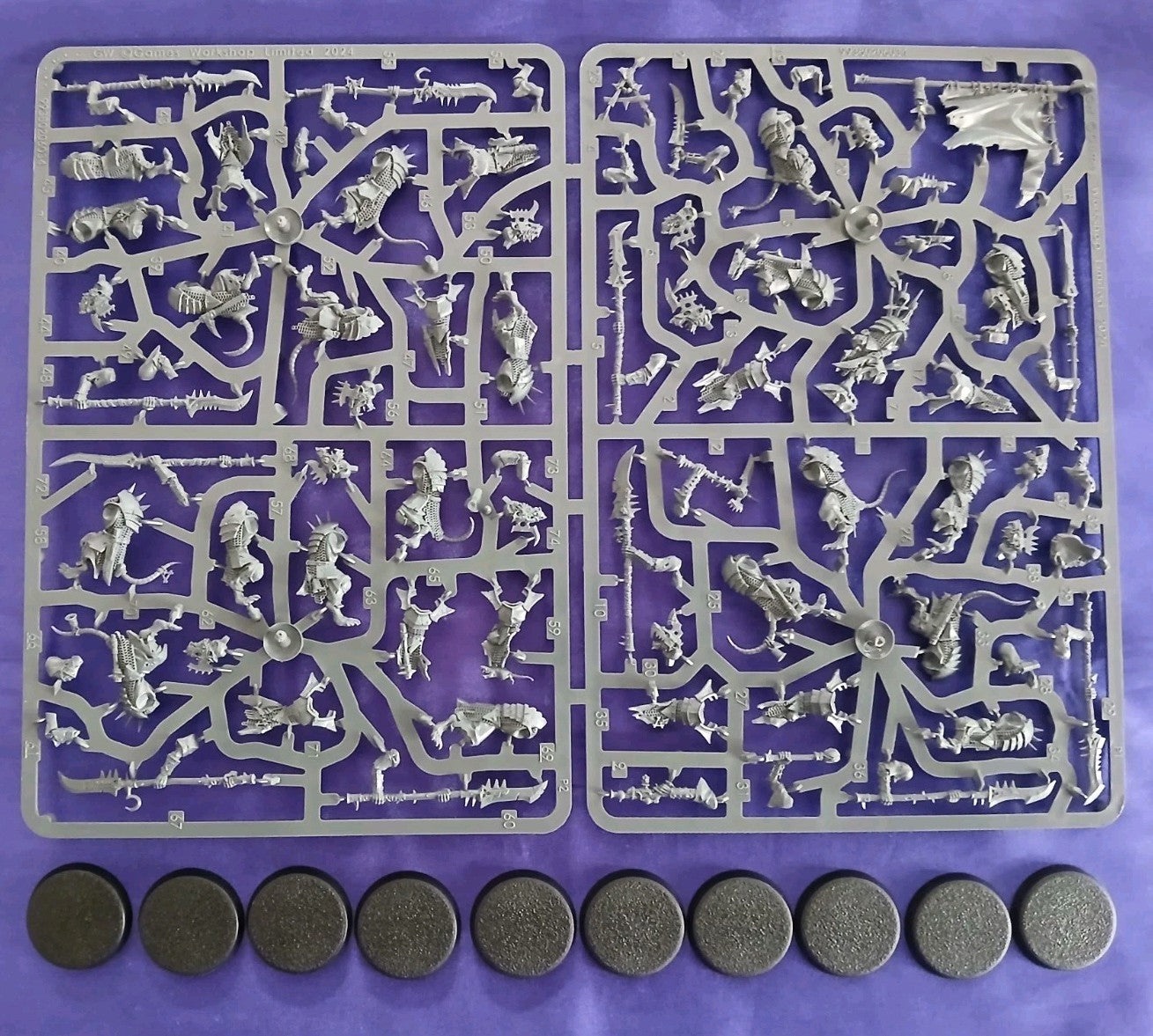 10 Stormvermin (Unit) Warhammer Age Of Sigmar, NEW